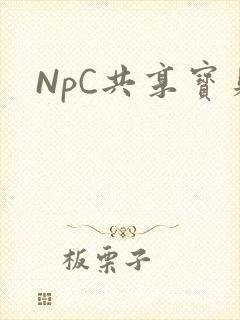 NpC共享宝贝