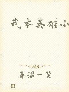 我本英雄小说