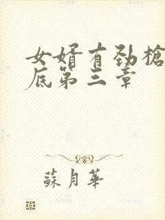 女婿有劲枪枪到底第三章