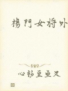 杨门女将外传