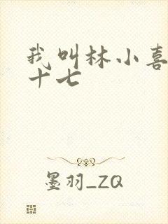 我叫林小喜今年十七