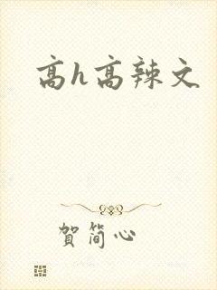 高h高辣文
