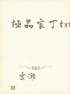 极品家丁txt