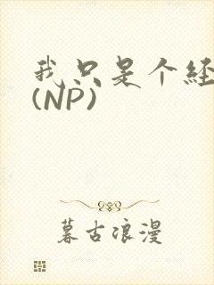 我只是个经纪人(NP)