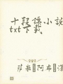 十段锦小说全本txt下载