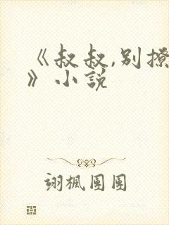 《叔叔,别撩我》小说