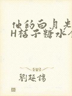他的白月光HVH桔子糖水全文