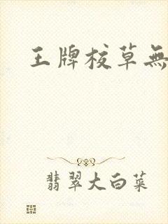 王牌校草无限爱