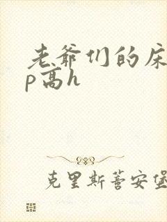 老爷们的床奴np高h