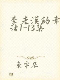 李老汉的幸福生活1-13集