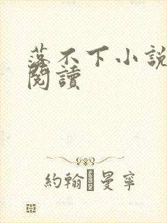 落不下小说免费阅读