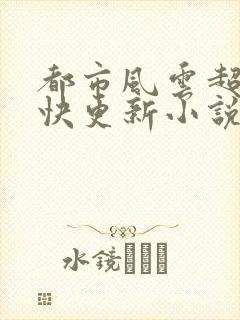 都市风云超前超快更新小说