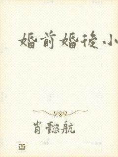 婚前婚后小说