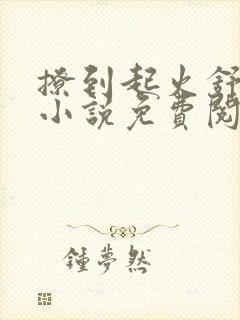 撩到起火舒漾的小说免费阅读全文