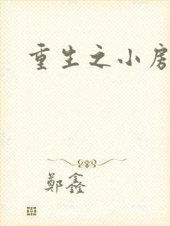 重生之小房东
