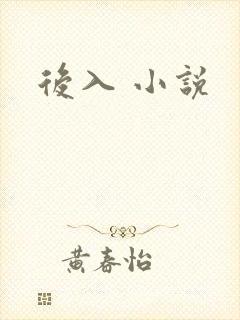 后入 小说