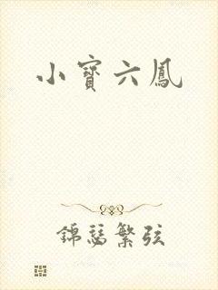 小宝六凤