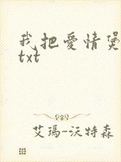 我把爱情煲成汤txt