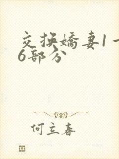 交换娇妻1一36部分