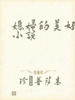 媳妇的美好时代小说
