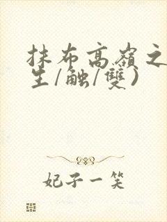 抹布高岭之花(生/触/双)