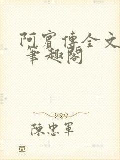 阿宾传全文阅读 笔趣阁