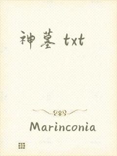 神墓 txt