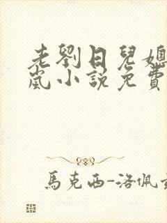 老刘日儿媳妇张岚小说免费阅读