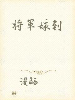 将军嫁到