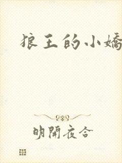 狼王的小娇妻
