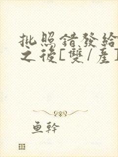 批照错发给情敌之后[双/产]