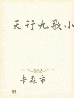 天行九歌小说