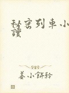 秘密列车小说阅读