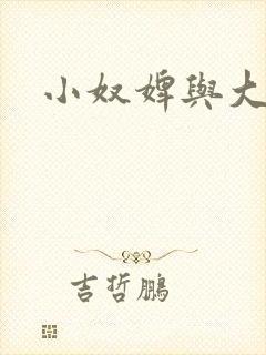 小奴婢与大少爷