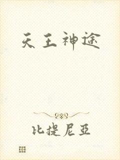 天王神途