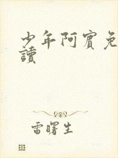 少年阿宾免费阅读