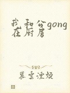 我和公gong在厨房