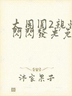 大团圆2亲情会闪闪发光免费