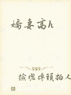 娇妻高h