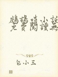 鹧鸪哨小说网站免费阅读无弹窗