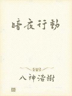 暗夜行动