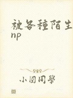 被各种陌生人 np