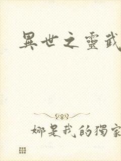 异世之灵武天下