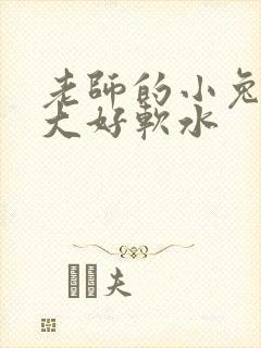 老师的小兔子好大好软水