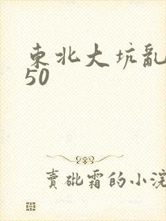 东北大坑乱1—50