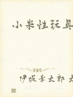 小米性玩具日记封面