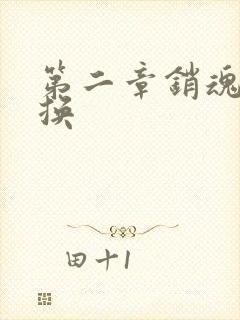 第二章销魂的交换