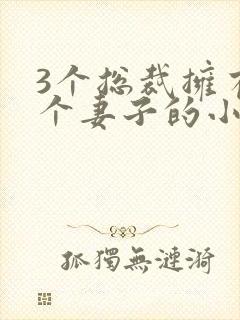 3个总裁拥有一个妻子的小说