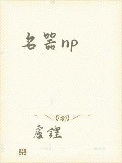 名器np