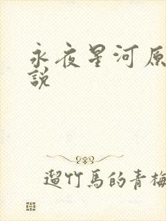 永夜星河原著小说